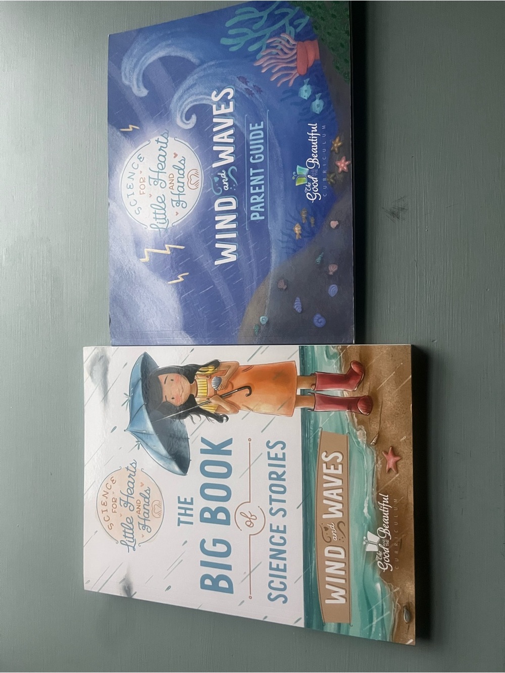 Wind and Waves Kids Science Book Set  the good and the beautiful